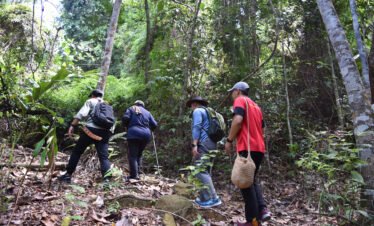 JUNGLE SURVIVAL ADVENTURE